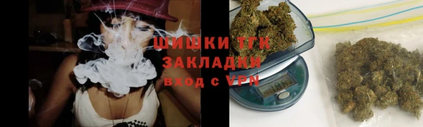 ГАЛЛЮЦИНОГЕННЫЕ ГРИБЫ Белокуриха