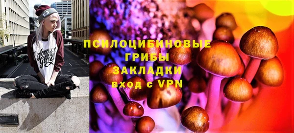 крисы Белоозёрский