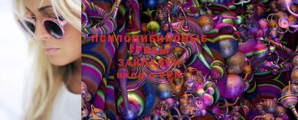 крисы Белоозёрский